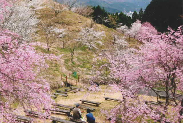 桜華園開園