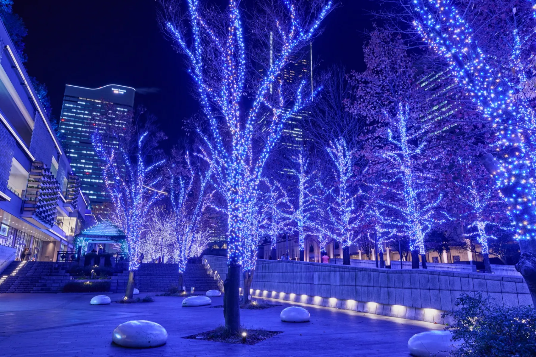 ヨコハマミライト2025 ～みらいを照らす、光のまち～_7