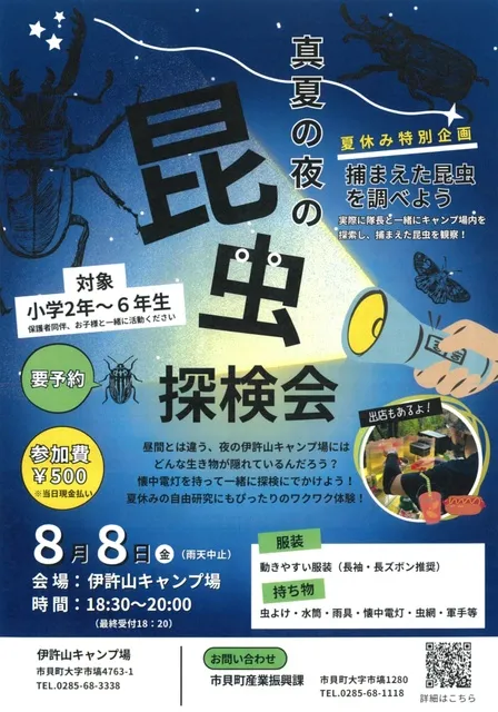 真夏の夜の昆虫探検会