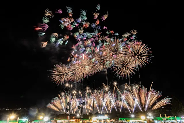 紀の川橋本SUMMERBALL2026_1
