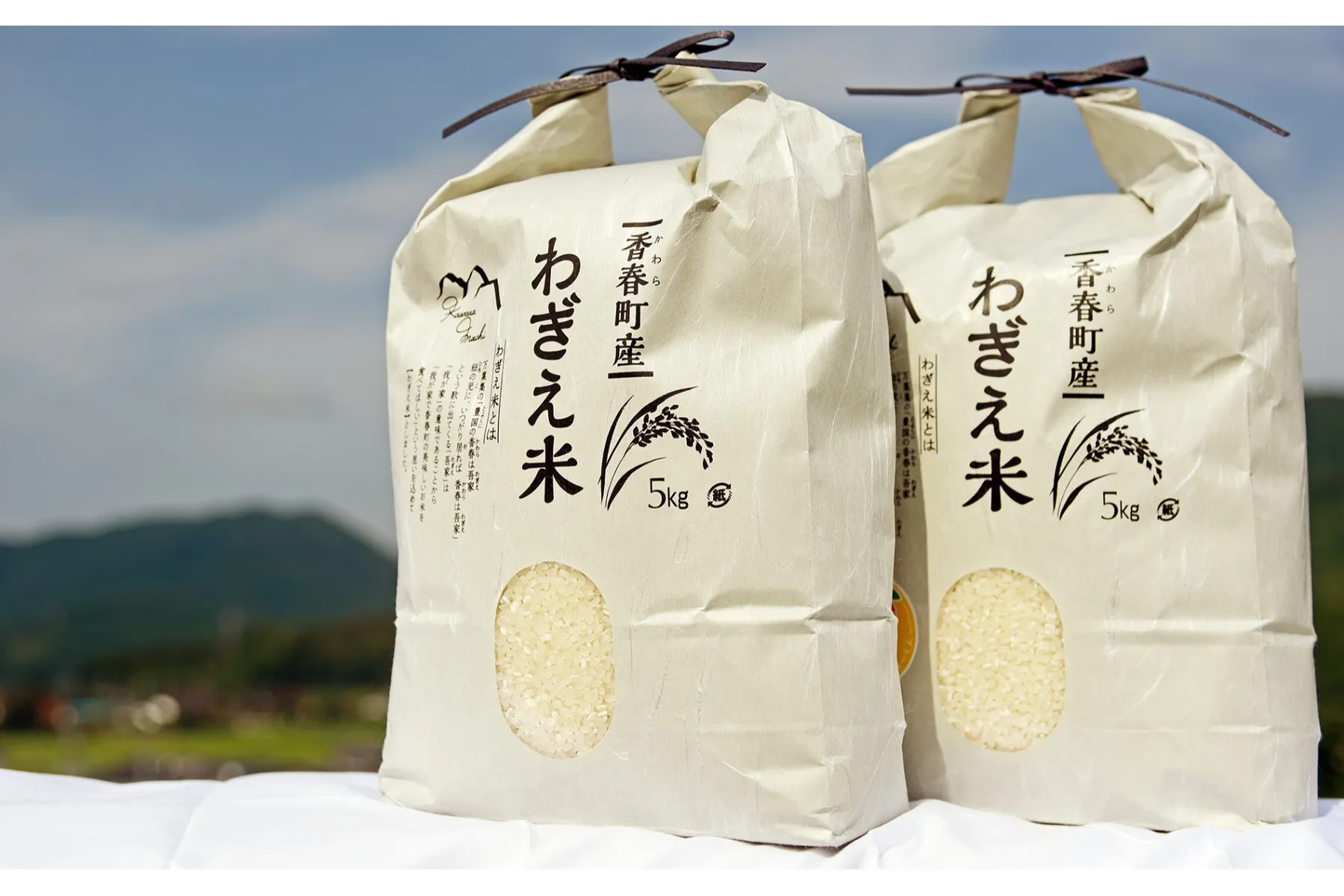 YORIMICHI SAKE KAIDO in 赤坂_4