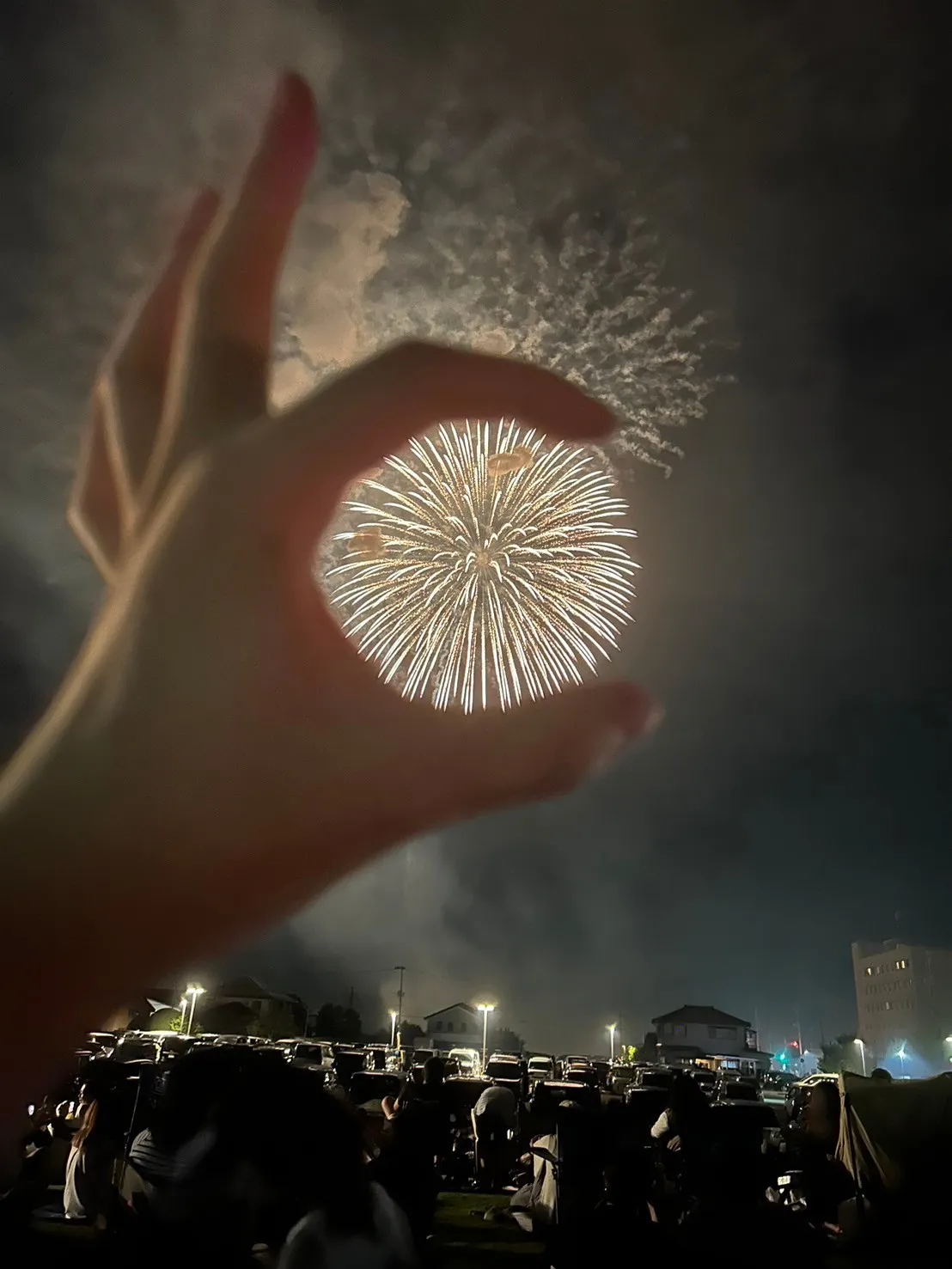 五泉ひゃんで花火大会_2