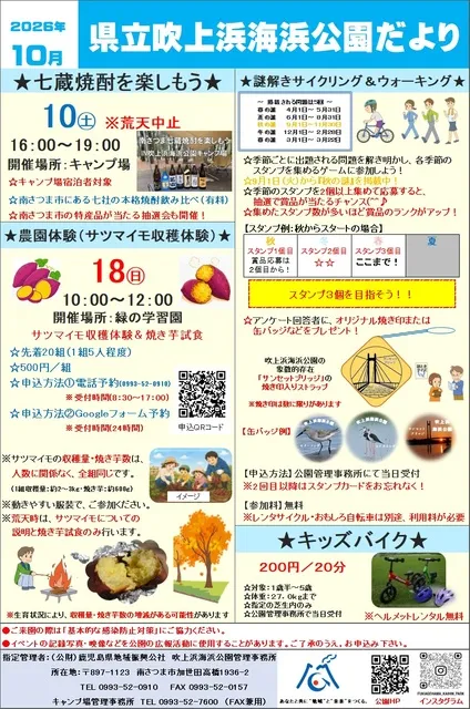 サツマイモ収穫体験