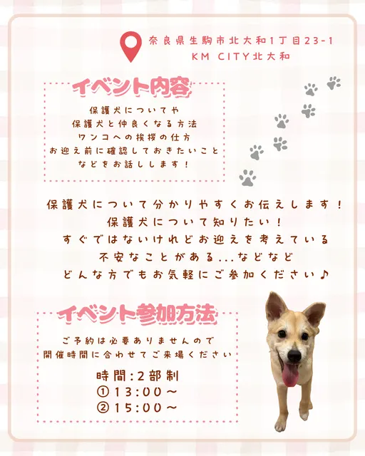保護犬セミナー(生駒譲渡センター)