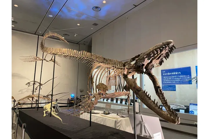 特別展「ちば恐竜博－驚異の捕食者（ハンター）たち－」_10