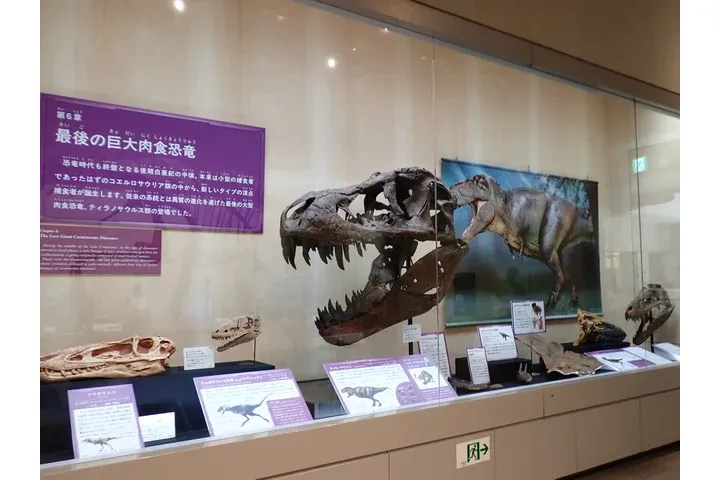 特別展「ちば恐竜博－驚異の捕食者（ハンター）たち－」_11