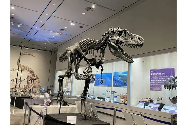 特別展「ちば恐竜博－驚異の捕食者（ハンター）たち－」_12