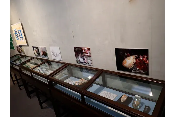 特別展「ちば恐竜博－驚異の捕食者（ハンター）たち－」_14