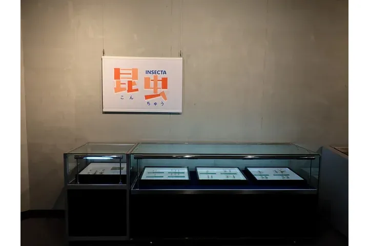 特別展「ちば恐竜博－驚異の捕食者（ハンター）たち－」_15
