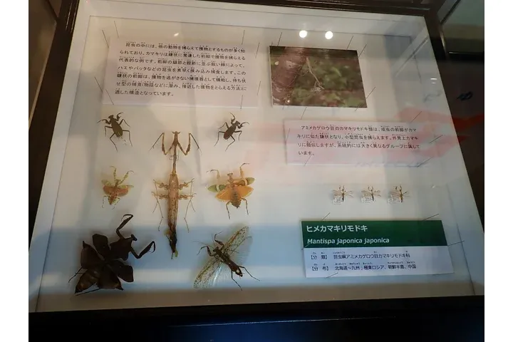 特別展「ちば恐竜博－驚異の捕食者（ハンター）たち－」_16