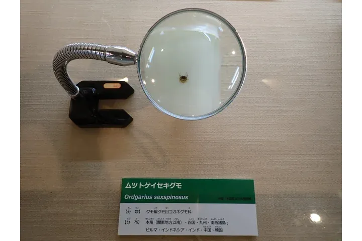 特別展「ちば恐竜博－驚異の捕食者（ハンター）たち－」_17