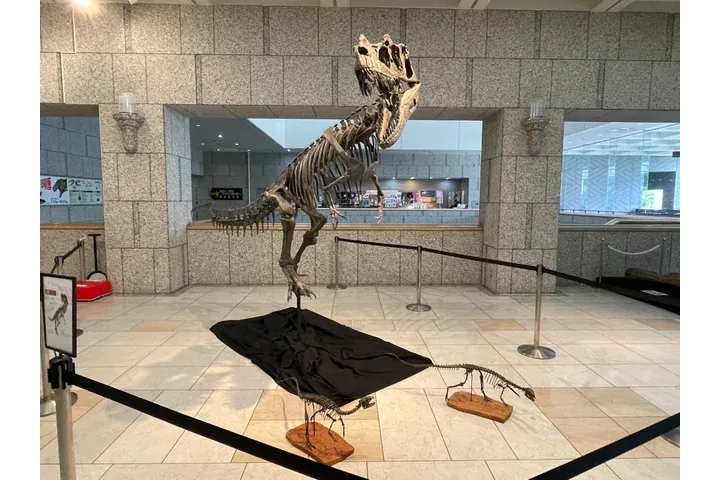 エントランスホールのケラトサウルス
