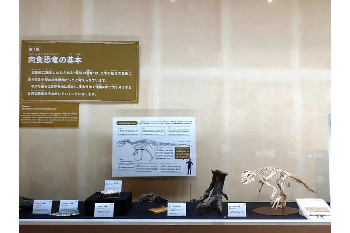 特別展「ちば恐竜博－驚異の捕食者（ハンター）たち－」_3