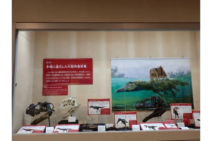 特別展「ちば恐竜博－驚異の捕食者（ハンター）たち－」_4