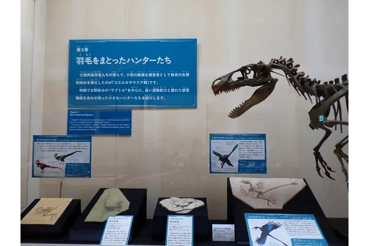 特別展「ちば恐竜博－驚異の捕食者（ハンター）たち－」_5