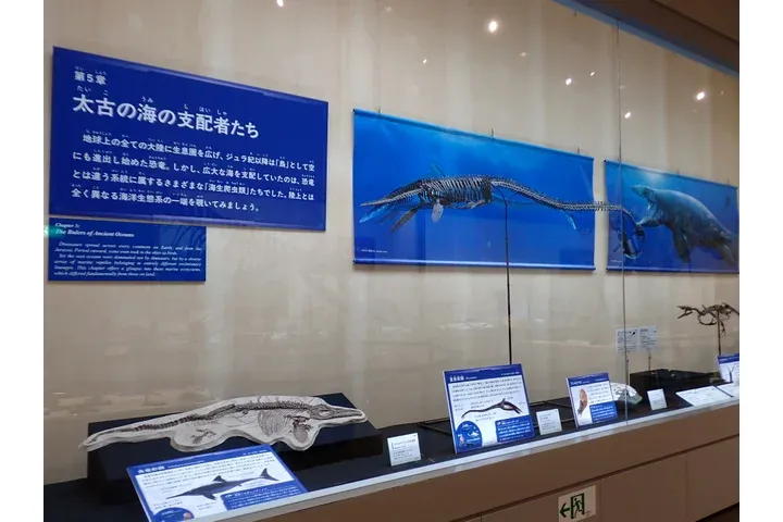 特別展「ちば恐竜博－驚異の捕食者（ハンター）たち－」_9