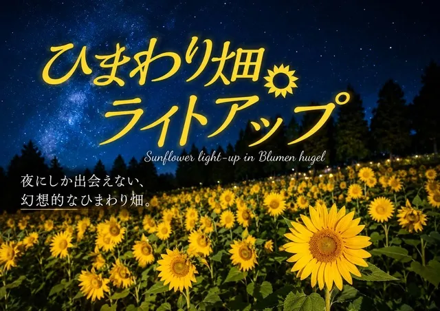 ひまわり畑ライトアップ2026