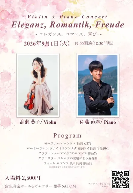 Violin Concert Eleganz, Romantik, Freude