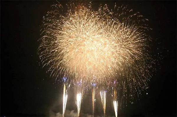 狭山市入間川七夕まつり納涼花火大会 2025