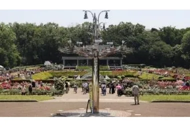 秋のバラフェスタ_7