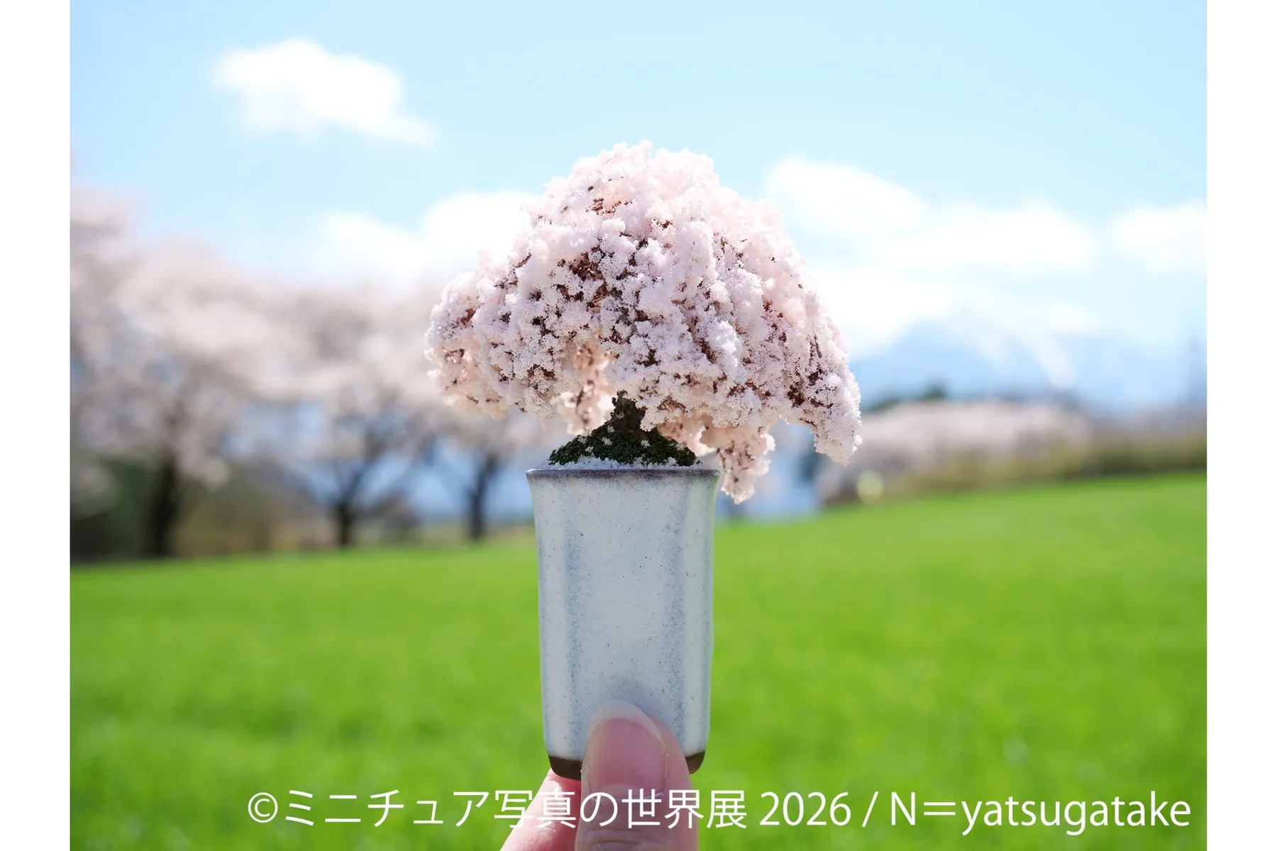 ミニチュア写真の世界展 2026_5