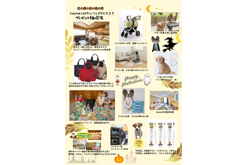 豪華プレゼントの数々を各日ご用意　