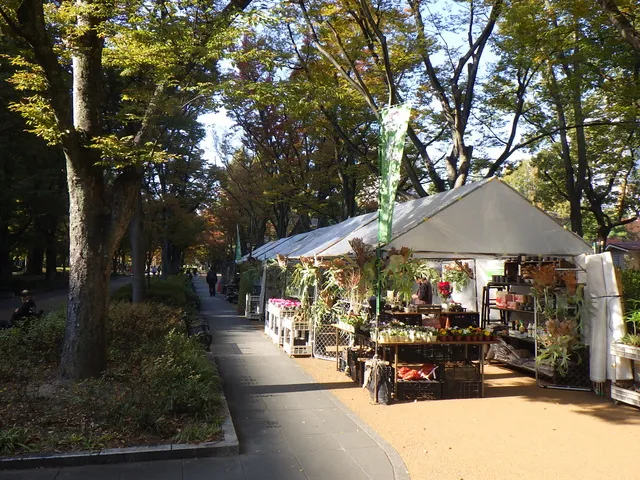 秋の植木市（靱公園）