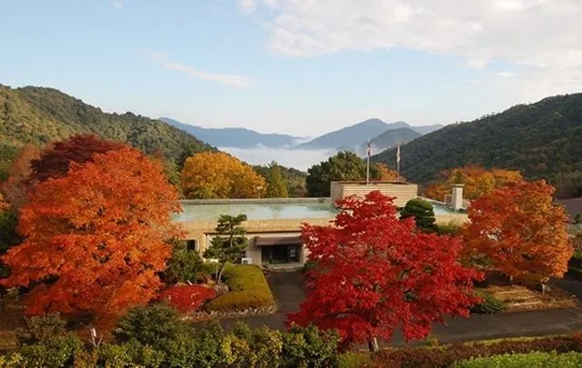 【紅葉・見ごろ】広島県緑化センター