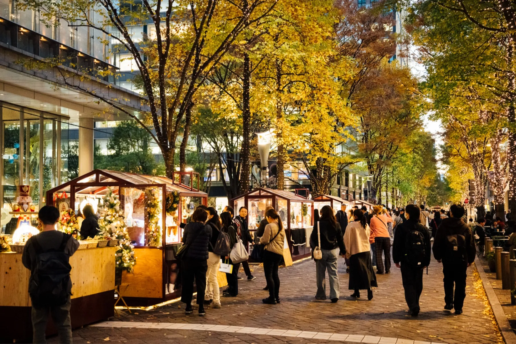 Marunouchi Street Park 2025 Winter_2