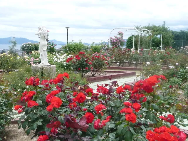 ローズフェスティバル2026