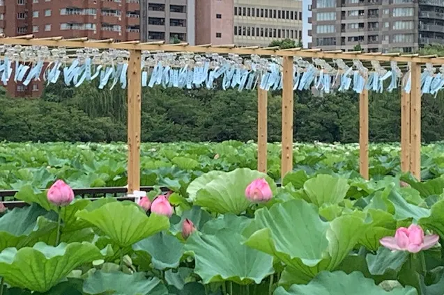 第75回うえの夏まつり