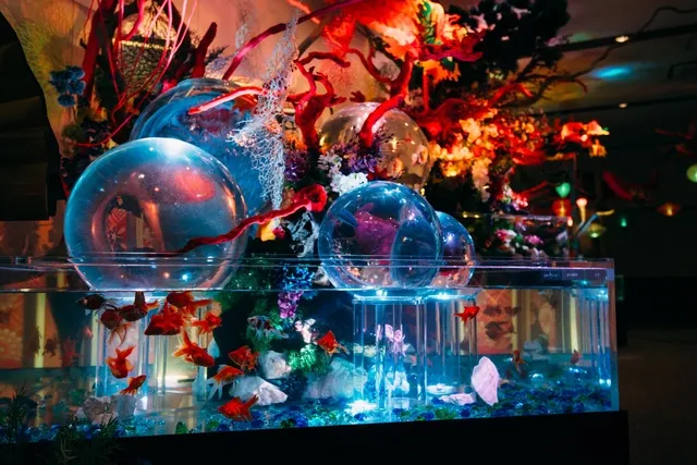 錦鯉・金魚アクアリウムinときメッセ