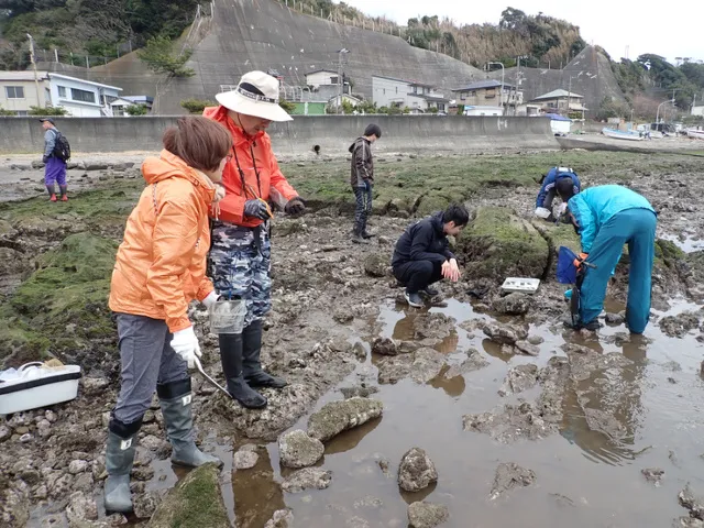 江奈湾干潟観察会＆ごみ回収活動（東干潟）