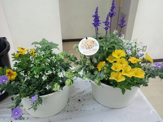 春の寄せ植え作り教室