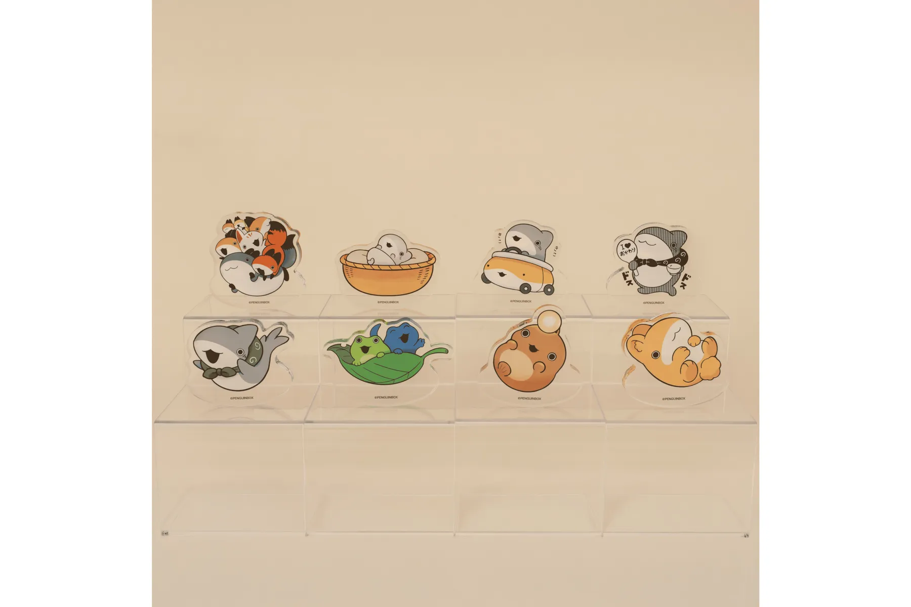 おでかけ子ザメ展_6