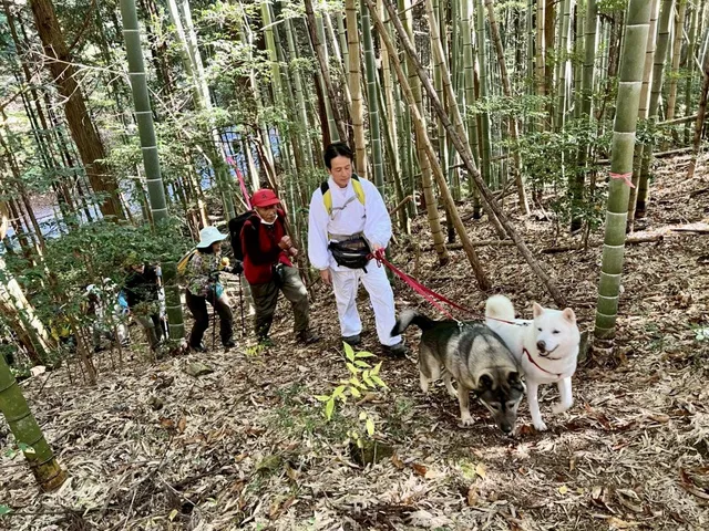 世界遺産三谷坂を登る
