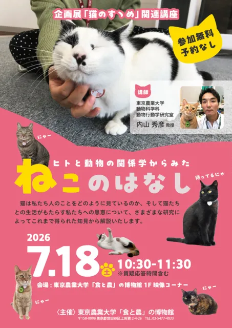 収蔵コレクション展「京を彩る舞妓たち」