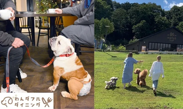 わんダフル ダイニング