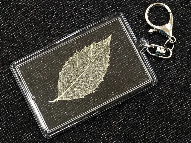 科学実験工房プチワークショップ　葉脈標本キーホルダー