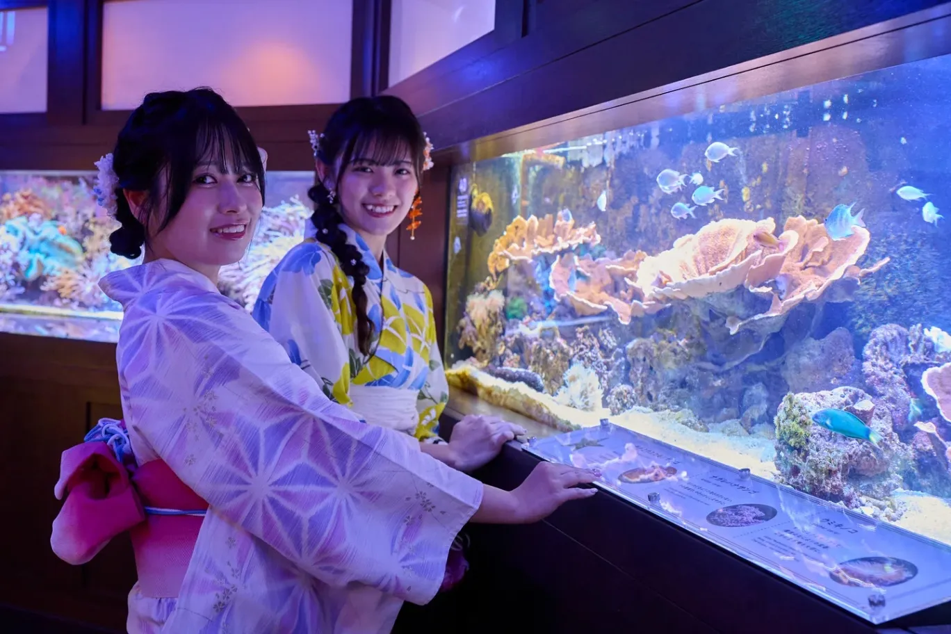 中華街の美ら海展2025_8