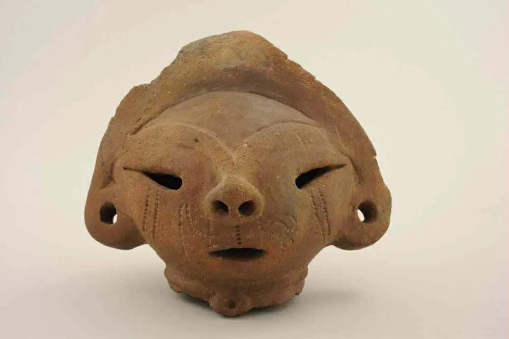 企画展「君も今日から考古学者！―横浜発掘物語2025　夏休み編―」_3