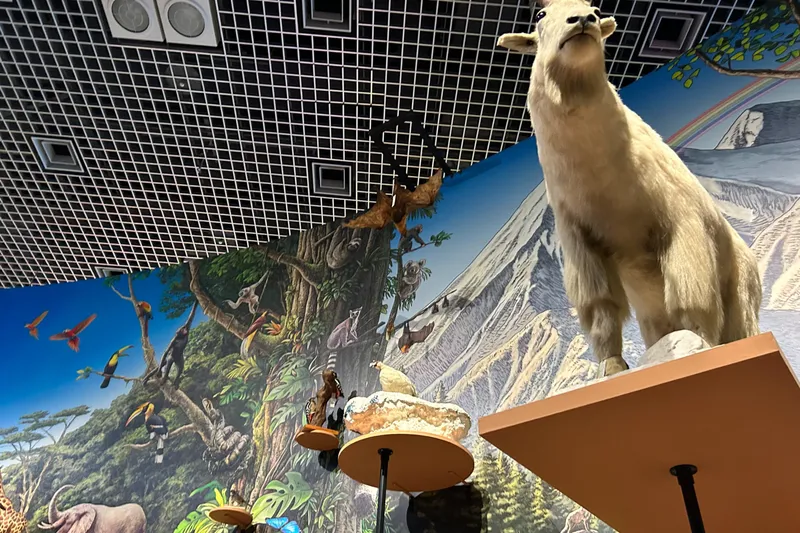 特別展「いきもの超ワールド展　 国立科学博物館×ダーウィンが来た！」