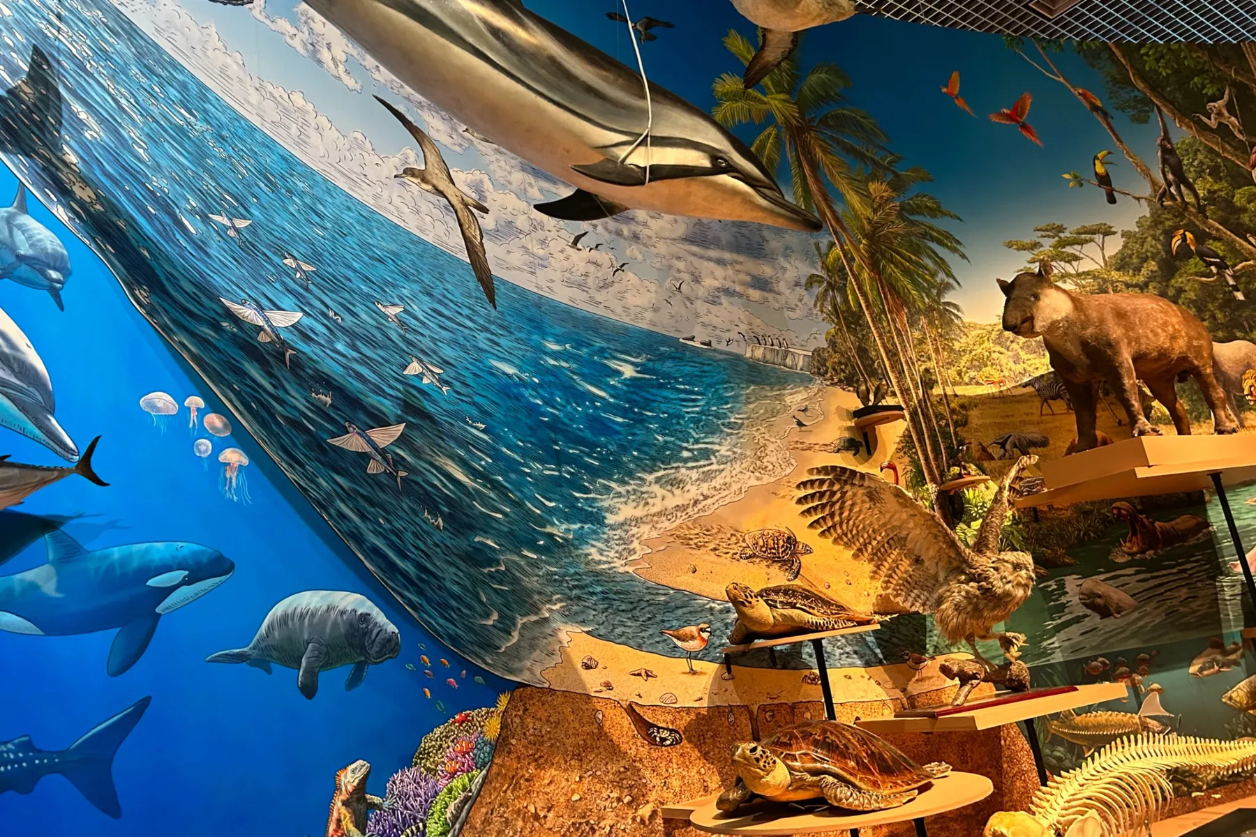 特別展「いきもの超ワールド展　 国立科学博物館×ダーウィンが来た！」_3