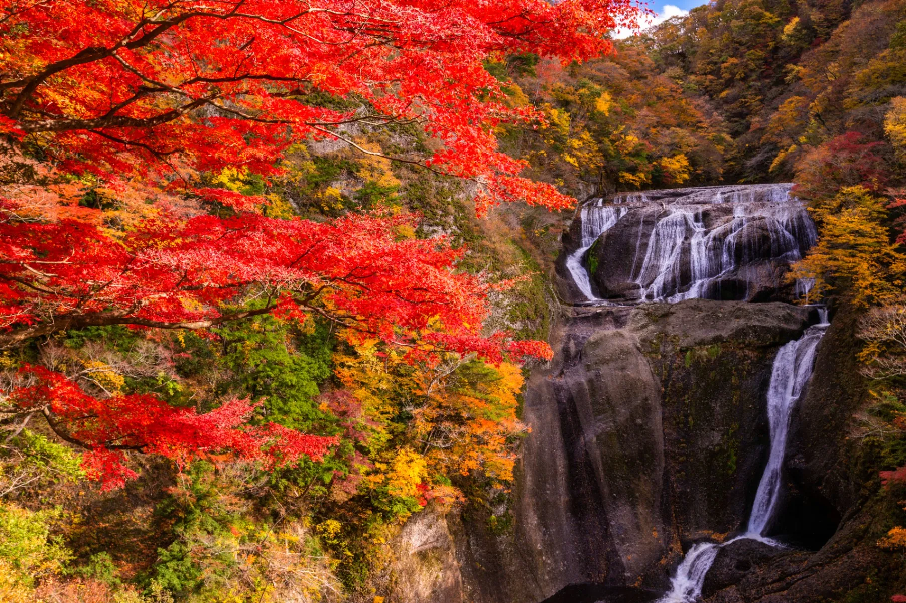 袋田の滝の紅葉情報