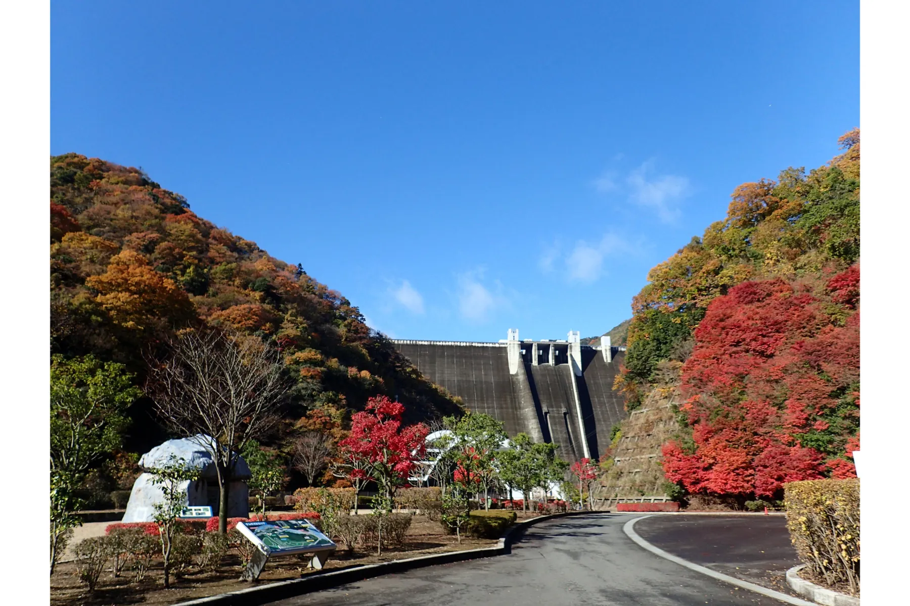 宮ヶ瀬ダムの紅葉情報_1