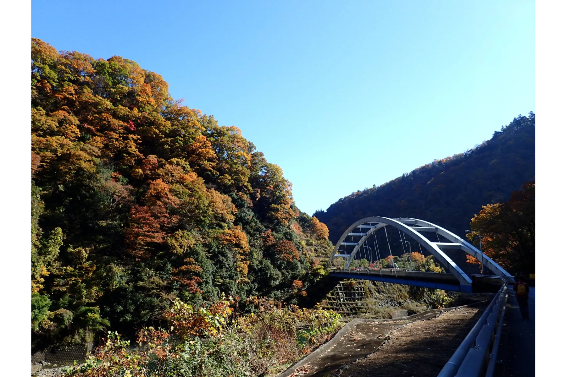 宮ヶ瀬ダムの紅葉情報_3