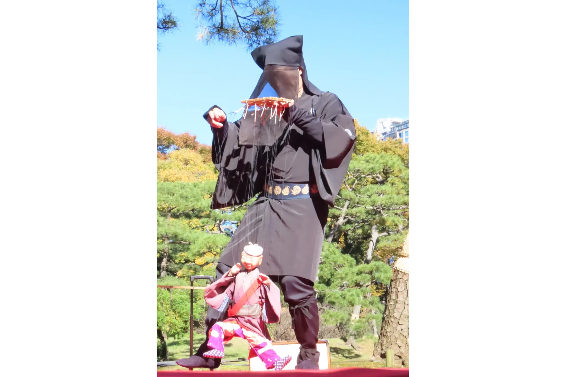 小石川後楽園「深山紅葉を楽しむ」_3