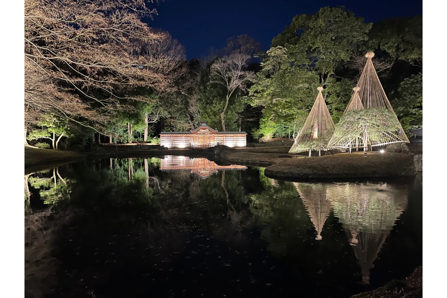 夜間特別開園 小石川後楽園 深山光葉を楽しむ_4