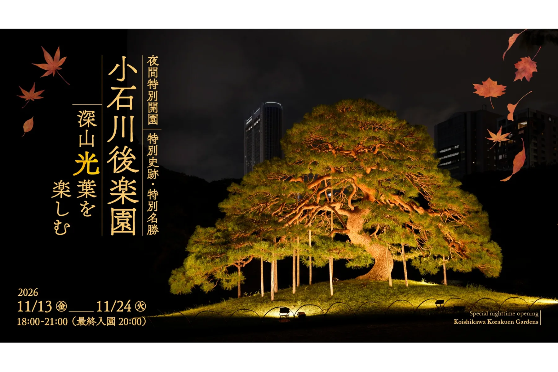夜間特別開園 小石川後楽園 深山光葉を楽しむ_7
