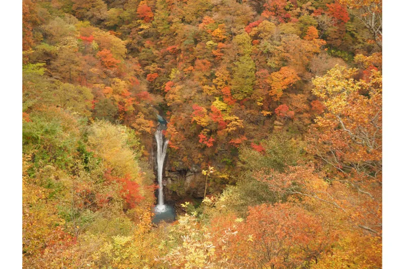 駒止の滝の紅葉情報_1